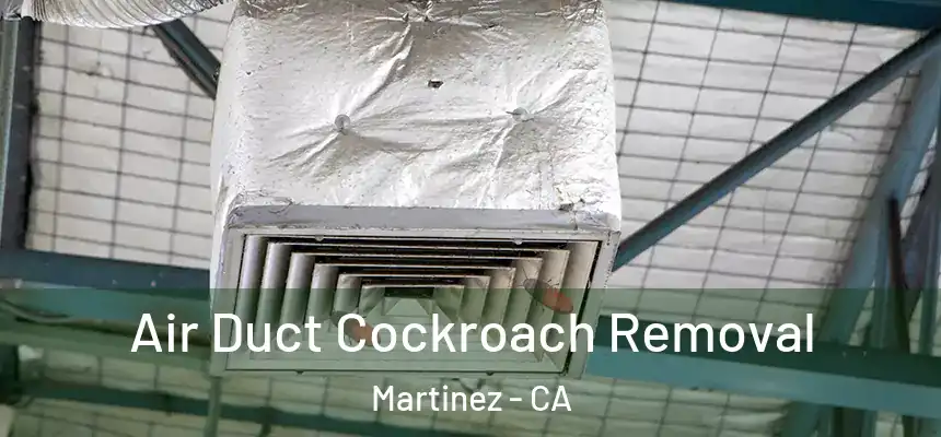  Air Duct Cockroach Removal Martinez - CA