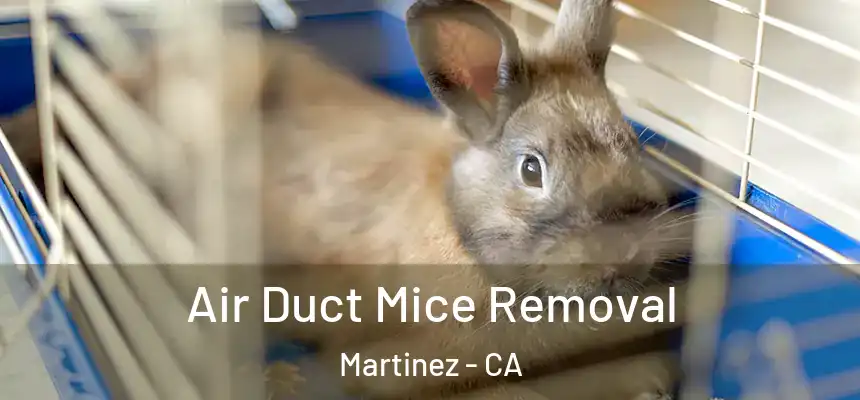  Air Duct Mice Removal Martinez - CA