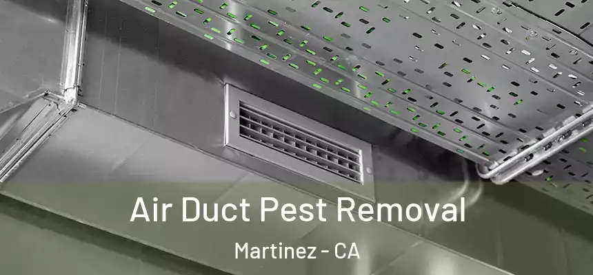  Air Duct Pest Removal Martinez - CA