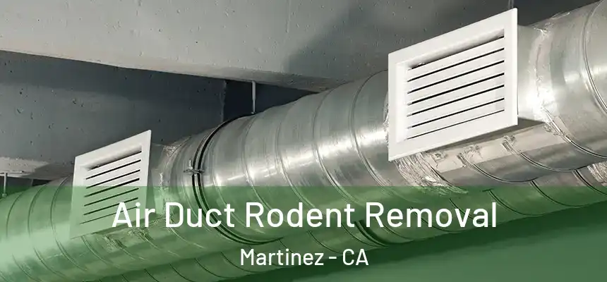 Air Duct Rodent Removal Martinez - CA