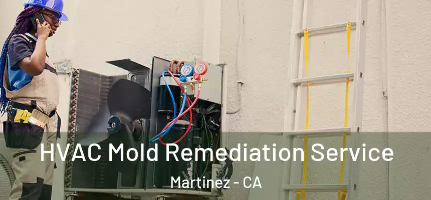 HVAC Mold Remediation Service Martinez - CA