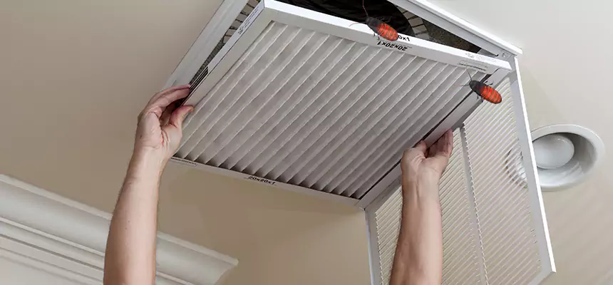 Preventive Cockroach-Proofing for Ducts in Martinez