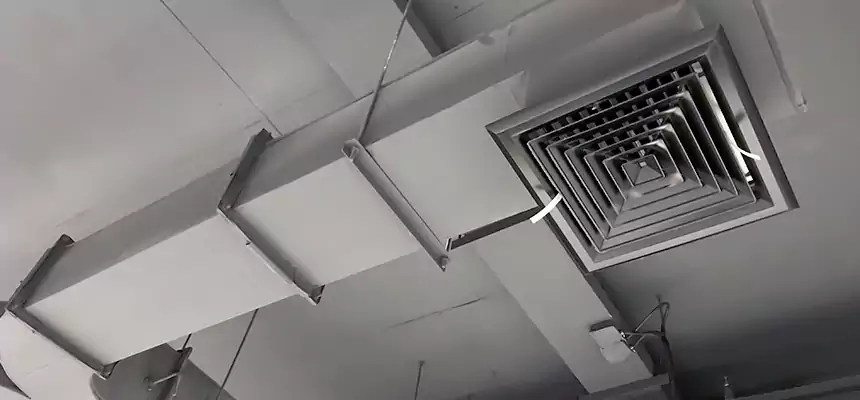 Restorative Allergy Relief Vent Cleaning – Coil, Blower & Housing Detail in Martinez