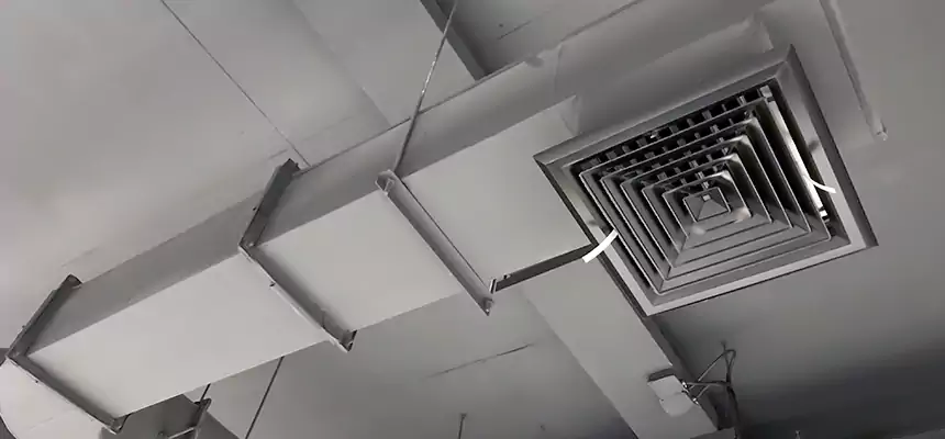 Our Pest Removal From Ducts Services in Martinez, CA