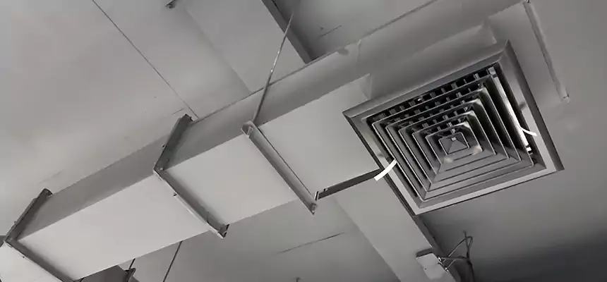 Our Rodent Droppings In Vents Services in Martinez, CA