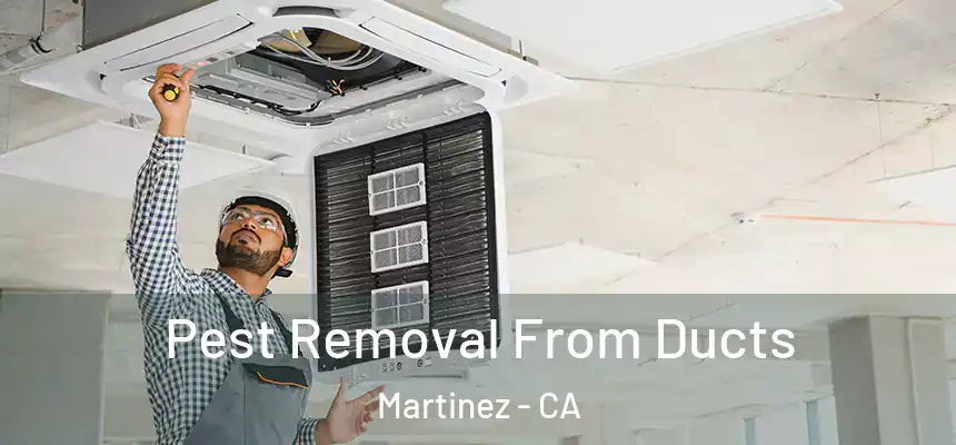  Pest Removal From Ducts Martinez - CA