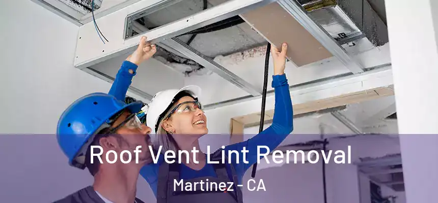 Roof Vent Lint Removal Martinez - CA