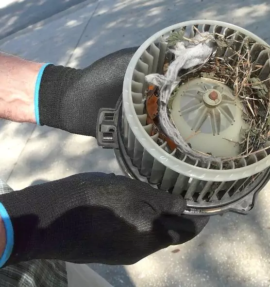 About Air Duct Rat Removal in Martinez, CA