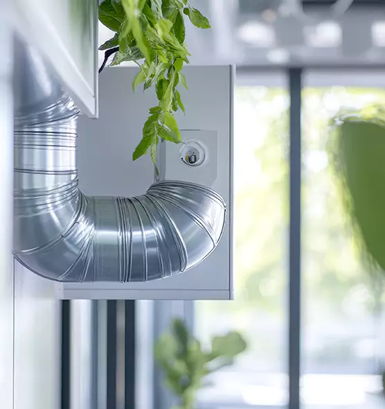 Professional Eco-Safe Dryer Vent Cleaning in Martinez, CA