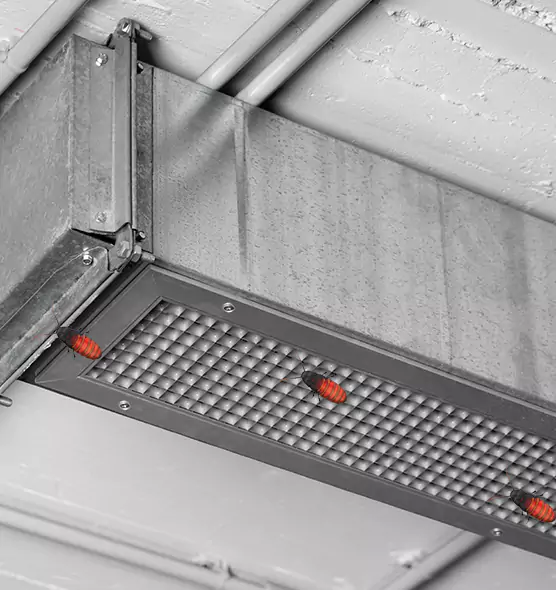 Affordable Insect Removal from Air Ducts in Martinez, CA