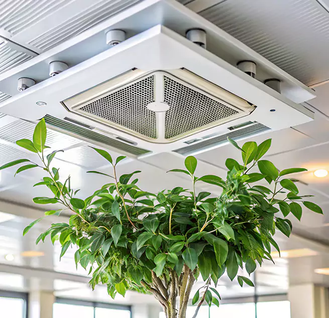 Why Homeowners & Businesses Trust Us in Martinez, CA?